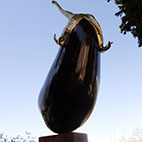 aubergine